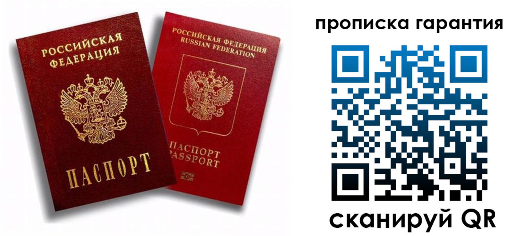 пропишу в квартире в Светлогорске