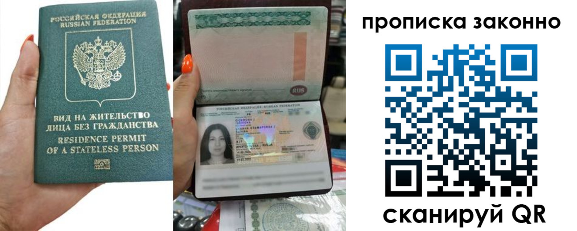 прописка законно в Светлогорске