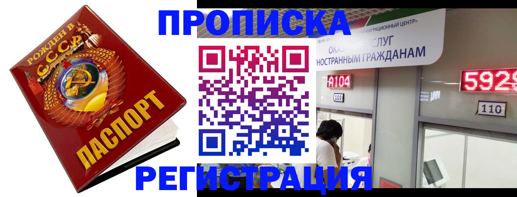 регистрация в Светлогорске